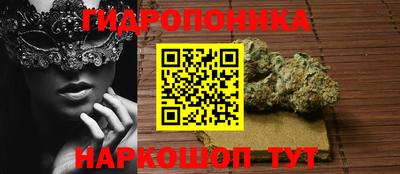 прущий лед Аша